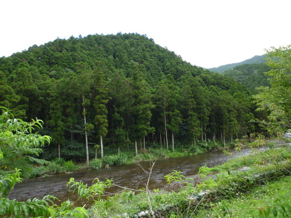 桶後越嶺 519.JPG