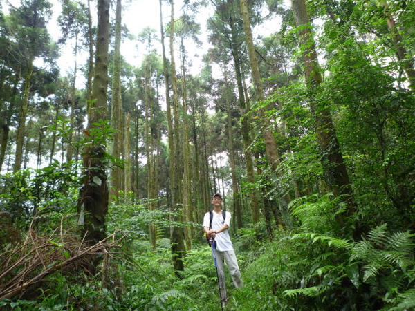 鹿崛坪古道 330.JPG