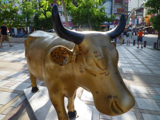 鹿崛坪古道 148.JPG 鹿崛坪古道 148.JPG