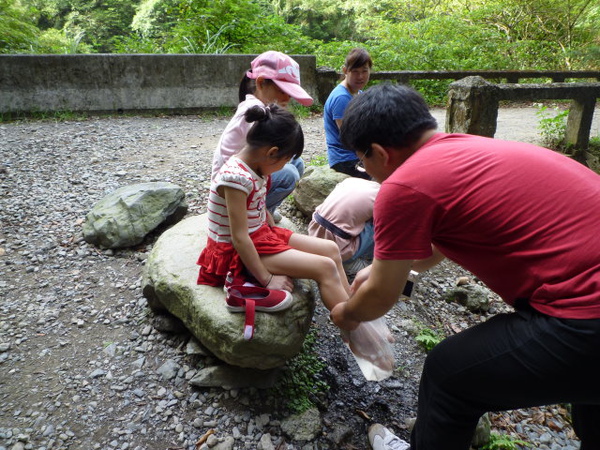 內洞國家森林遊樂區 178.JPG