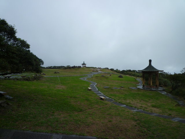七星山苗圃線 (33).JPG