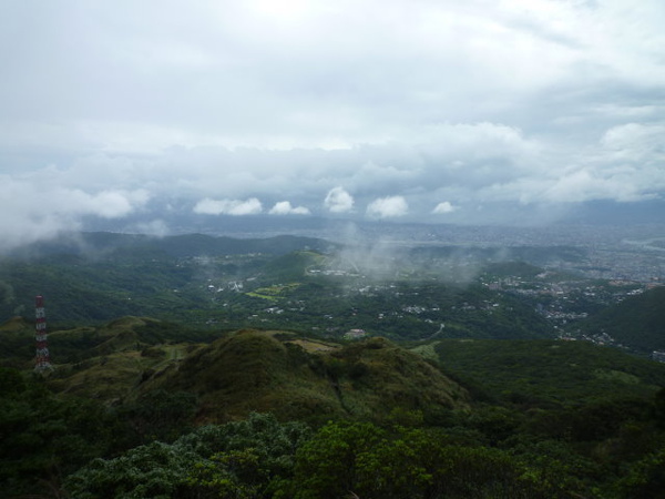 七星山苗圃線 (51).JPG