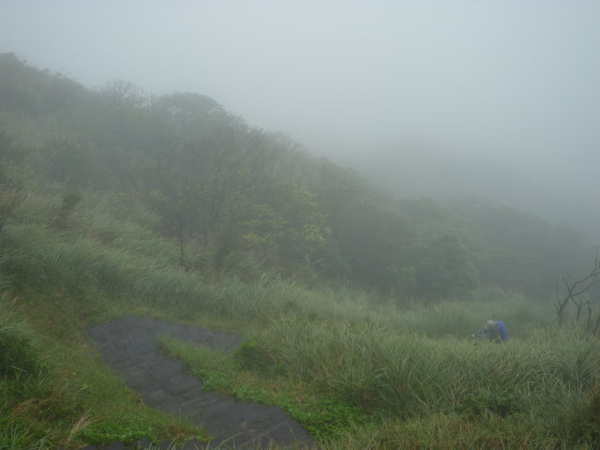 七星山苗圃線 (58).JPG