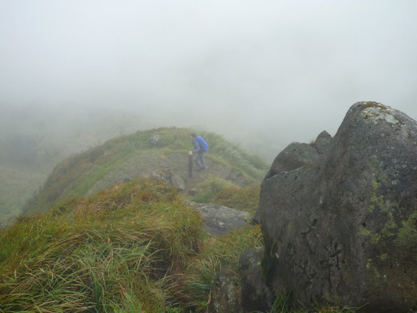 七星山苗圃線 (66).JPG