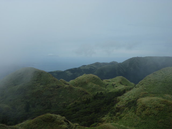 七星山苗圃線 (83).JPG