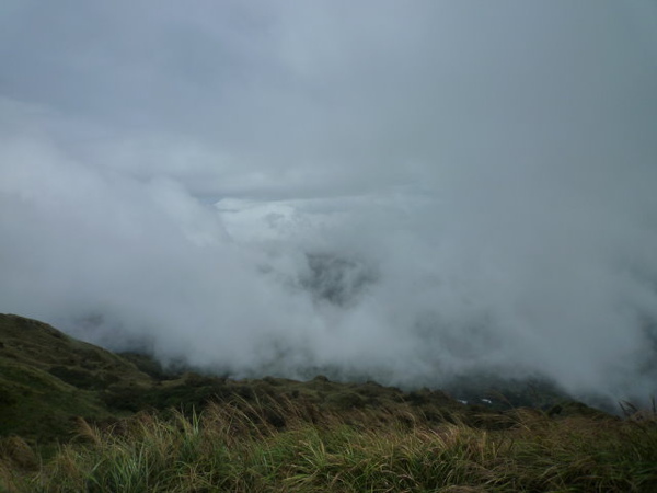 七星山苗圃線 (94).JPG