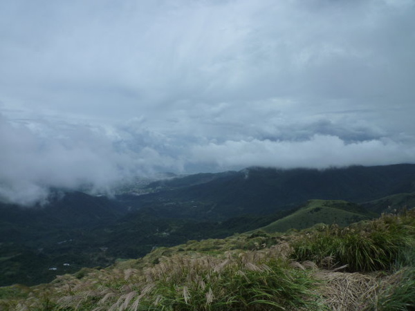 七星山苗圃線 (115).JPG