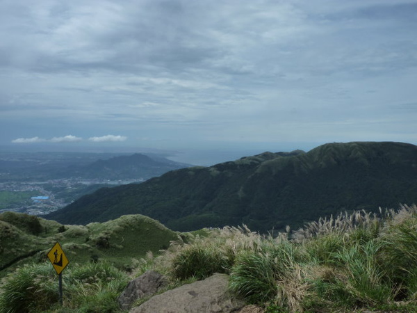 七星山苗圃線 (123).JPG