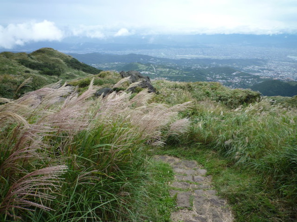 七星山苗圃線 (141).JPG