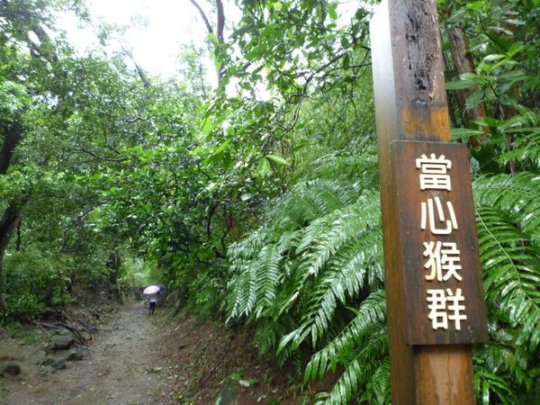 天母古道.翠峰瀑布 044.JPG