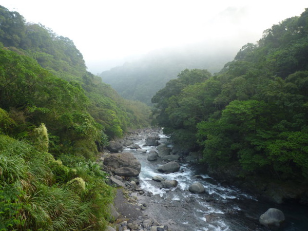 福巴越嶺.檜山 028.JPG