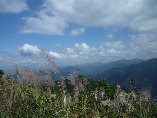 美鹿山.拔刀爾山 147.JPG