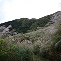 冷擎步道.魚路古道 094.JPG