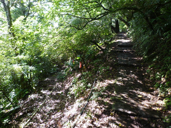 向天池.向天山.面天山.二子坪 026.JPG