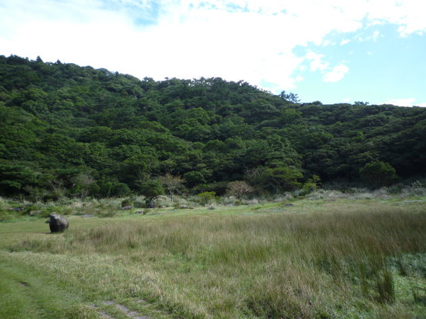 向天池.向天山.面天山.二子坪 041.JPG