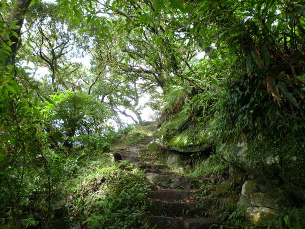 向天池.向天山.面天山.二子坪 054.JPG