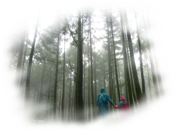 風櫃嘴.頂山.石梯嶺 068.JPG 風櫃嘴.頂山.石梯嶺 068.JPG