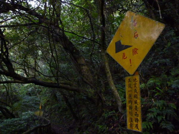 竹子湖上中正山 067.JPG