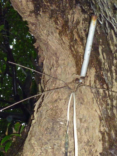 仙跡岩海巡署登山口 016.JPG