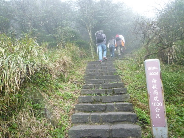 夜行七星山座艙長牛肉麵 035.JPG