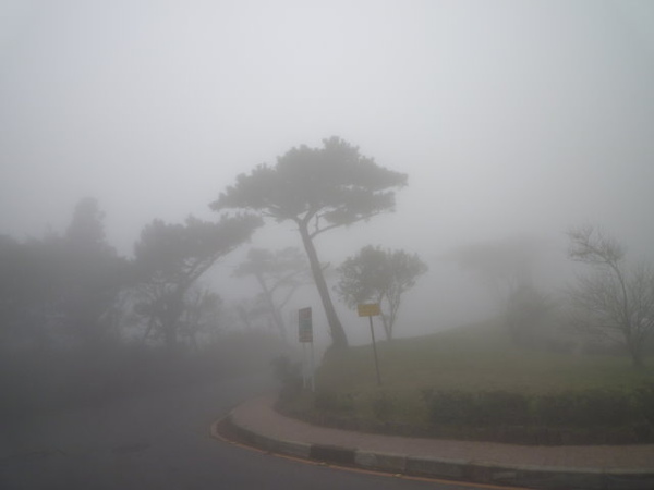 二子坪.百拉卡雲海 002.JPG 二子坪.百拉卡雲海 002.JPG