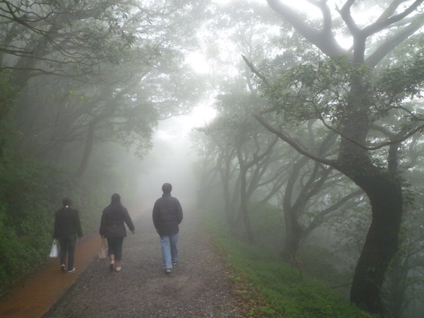 二子坪.百拉卡雲海 007.JPG