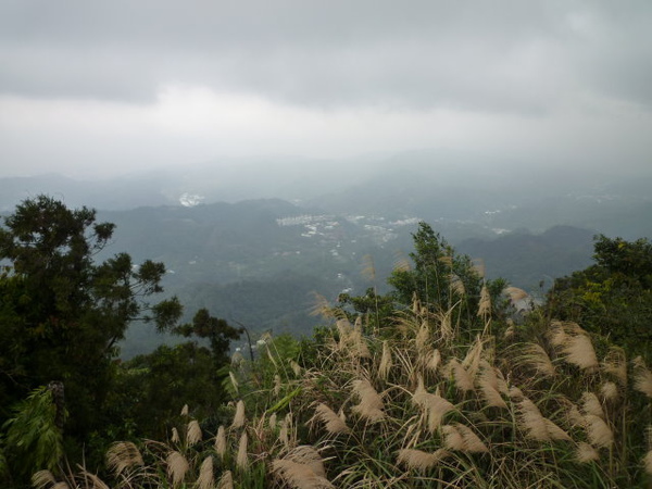 紫微聖母環山步道 188.JPG