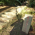 忠義山.關渡親山步道 052.JPG