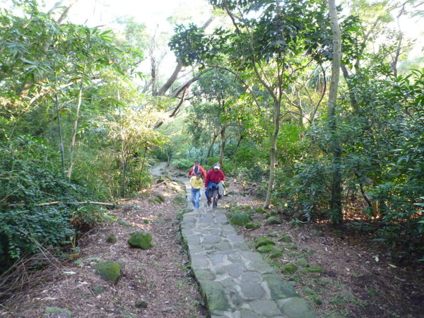 忠義山.關渡親山步道 063.JPG