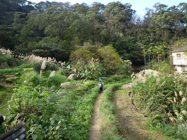 天后宮.保甲路.行修宮.白雞山 211.JPG