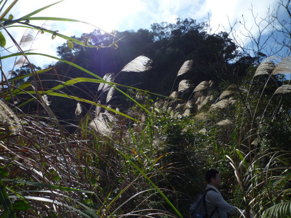 天后宮.保甲路.行修宮.白雞山 361.JPG