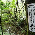 石梯嶺 122.JPG