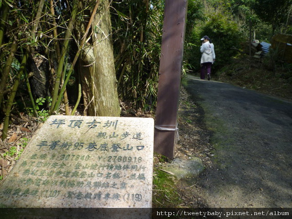 鵝尾山.阿凡達 048.JPG