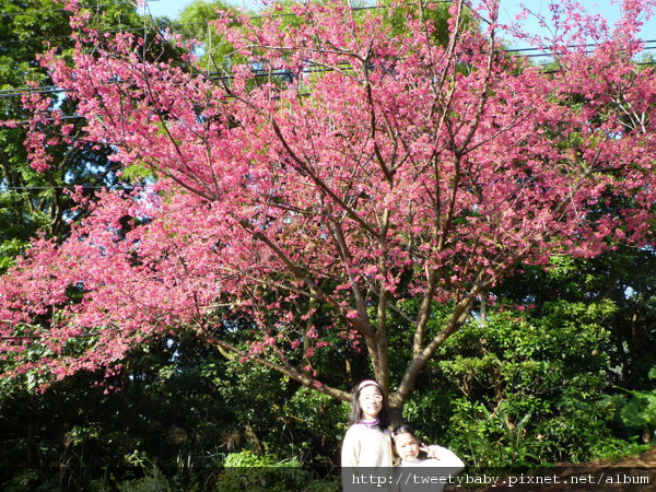 瘋狂淡水樂活景點之旅 111.JPG