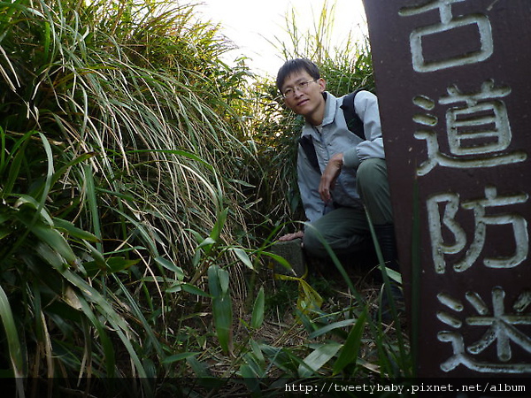 小觀音山西峰.北竹子山 046.JPG