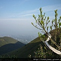 小觀音山西峰.北竹子山 053.JPG