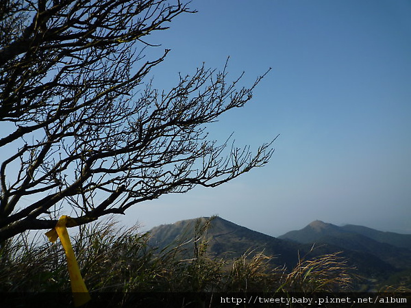 小觀音山西峰.北竹子山 094.JPG