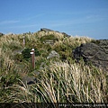 小觀音山西峰.北竹子山 166.JPG