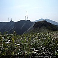 小觀音山西峰.北竹子山 188.JPG