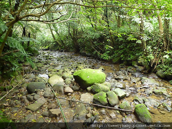貓空茶展中心步道.壺穴 055.JPG