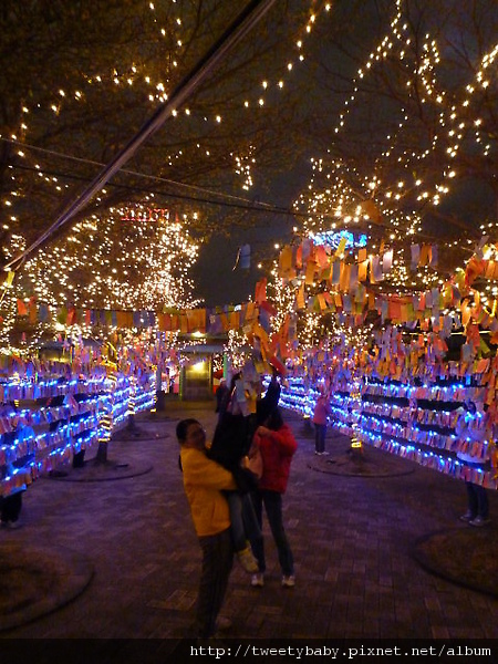 2010台北燈會 054.JPG