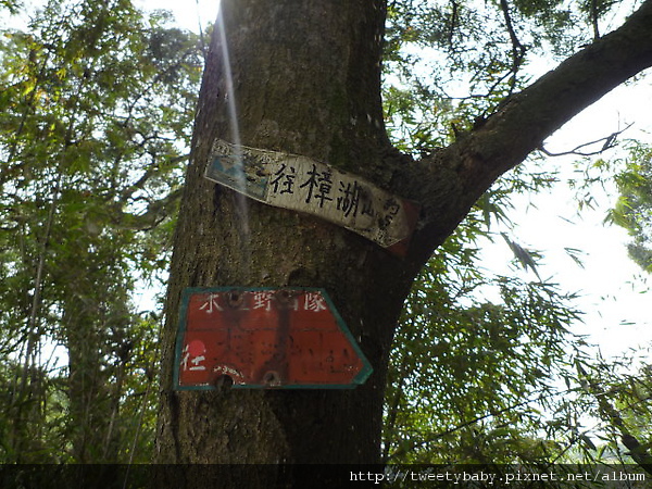 指南國小步道.樟山寺.三玄宮步道 042.JPG