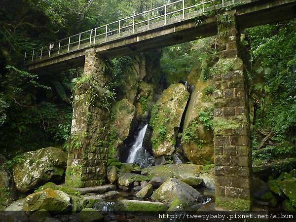 大屯瀑布.青春嶺.竹子湖頂湖海芋 184.JPG