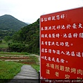 大溝溪步道.碧山巖.鯉魚山.白石湖吊橋 032.JPG