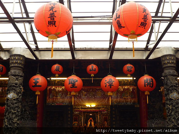 大溝溪步道.碧山巖.鯉魚山.白石湖吊橋 149.JPG