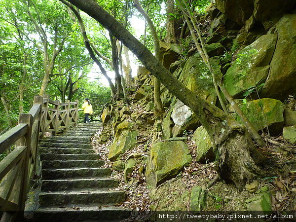 大溝溪步道.碧山巖.鯉魚山.白石湖吊橋 218.JPG