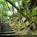 大溝溪步道.碧山巖.鯉魚山.白石湖吊橋 218.JPG