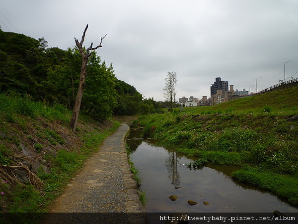 大溝溪步道.碧山巖.鯉魚山.白石湖吊橋 286.JPG