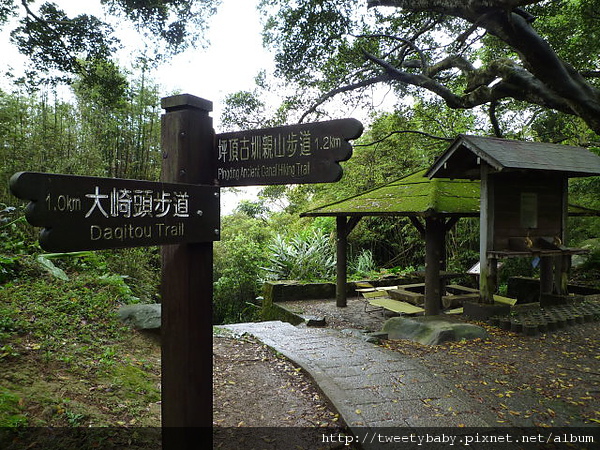 台北奧萬大.新圳頭山.坪頂古圳 019.JPG