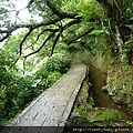 台北奧萬大.新圳頭山.坪頂古圳 074.JPG